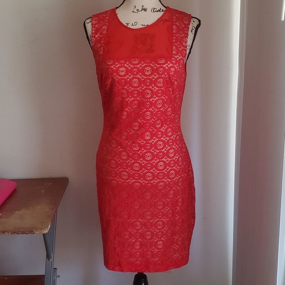 Bebe Lace Dress
